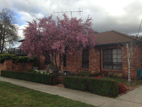Bricks And Roses - Perth Resorts 1