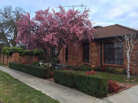 Bricks And Roses - Perth Resorts 2
