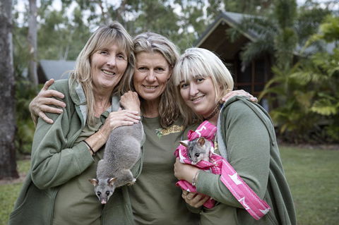 Airlie Beach Eco Cabins - Adults Only - Accommodation Perth 23