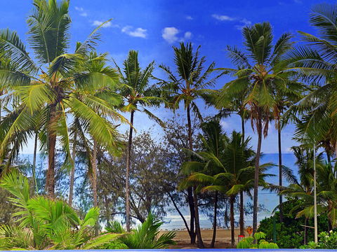 By The Sea Port Douglas - Accommodation Perth 3