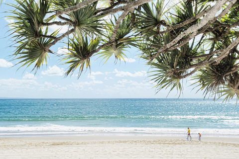 Netanya Noosa Beachfront Resort - Perth Resorts 38