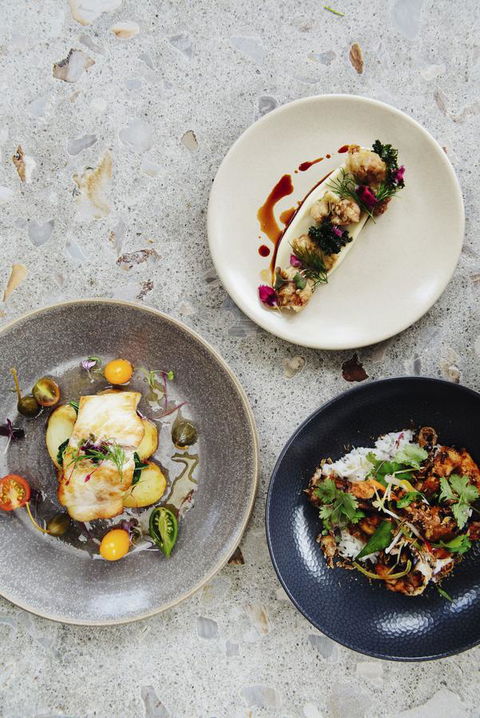 Pullman Port Douglas Sea Temple Resort And Spa - Perth Resorts 34