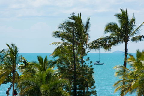 Heart Hotel And Gallery Whitsundays - Accommodation Perth 13