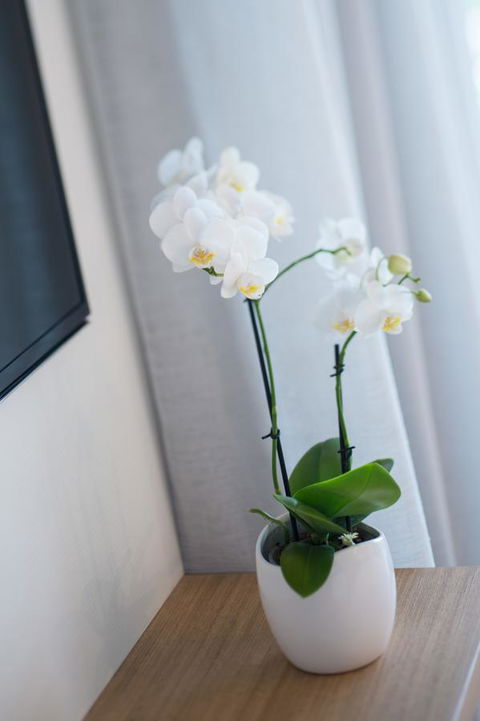 Heart Hotel And Gallery Whitsundays - Accommodation Perth 28