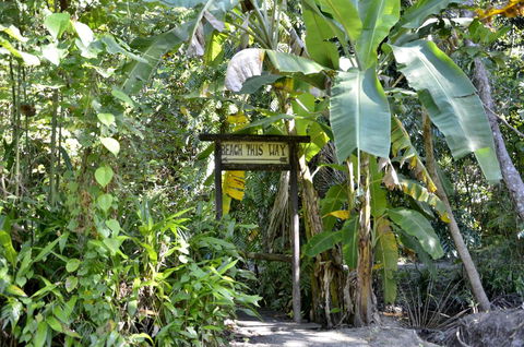 PK\'s Jungle Village - Accommodation Perth 23
