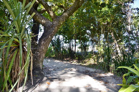 PK\'s Jungle Village - Accommodation Perth 28