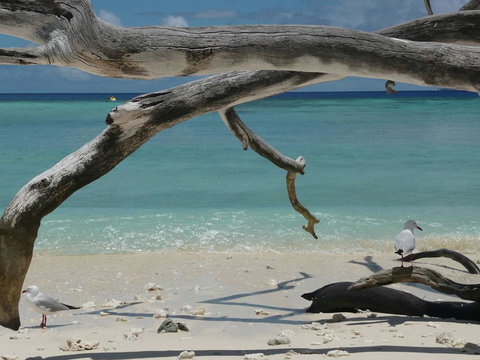 Tranquility By The Course Port Douglas - Perth Resorts 18