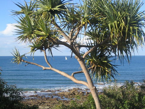Headland Tropicana Resort - Accommodation Perth 39