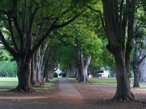 Comfort Inn Grammar View - Perth Resorts 19