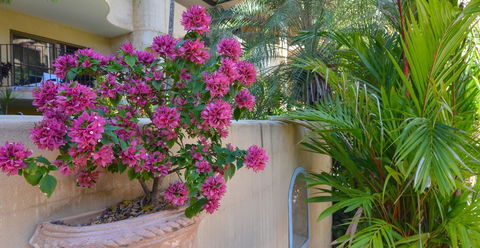 Villa San Michele (Official) - Accommodation Perth 4