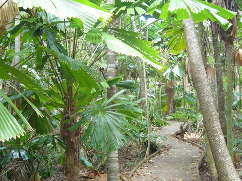 Port Douglas Retreat - Accommodation Perth 18