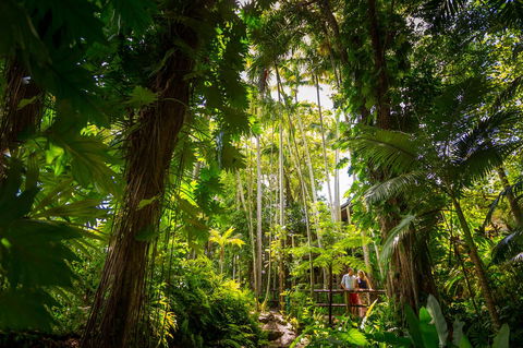 Cairns Colonial Club Resort - Accommodation Perth 22
