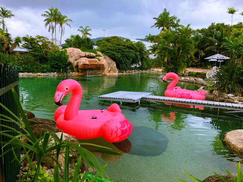 Cairns Colonial Club Resort - Accommodation Perth 6