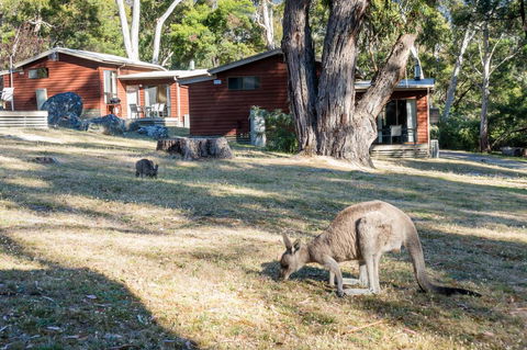 Wonderland Cottages - Accommodation Perth 1