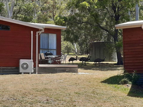 Wonderland Cottages - Accommodation Perth 3