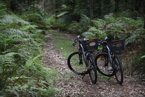 Woodlands Rainforest Retreat - Accommodation Perth 2