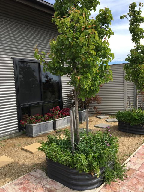 Woolamai Dreaming - Perth Resorts 2