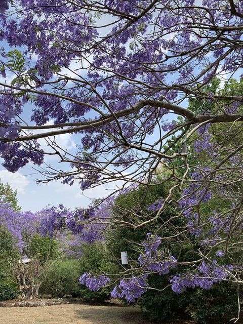 Wyndover Mountain Retreat - Accommodation Perth 1