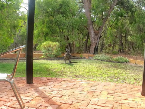 Yallingup Pet Friendly Bush Retreat - Accommodation Perth 3