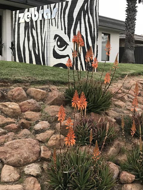 Zebras Guest House Geraldton - Accommodation Perth 1