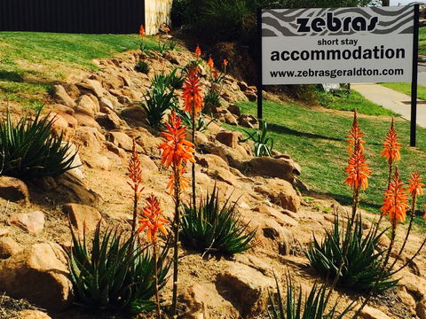 Zebras Guest House Geraldton - Accommodation Perth 2