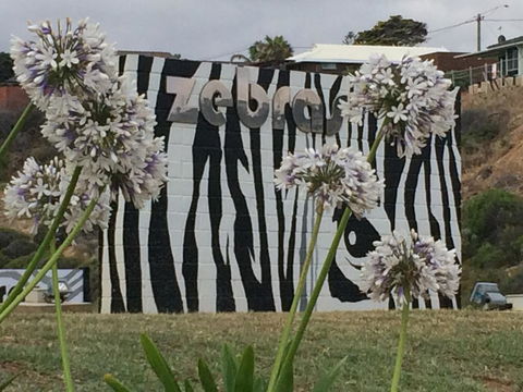 Zebras Guest House Geraldton - Accommodation Perth 0