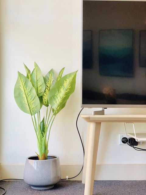 ZEN Homes On Collins - Accommodation Perth 3