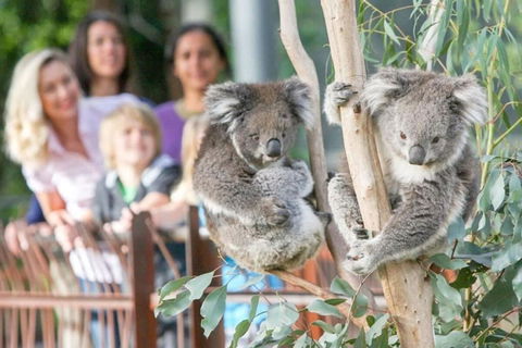 A 3BR Apt Next To Melbourne Zoo FREE Parking - Accommodation Perth 2