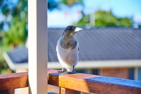 A Kids Dream & Paradise For Parents - Accommodation Perth 2