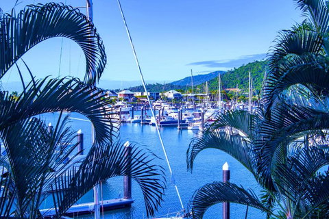Absolute Luxury Marina Lifestyle At The Port Of Airlie Beach - Accommodation Perth 4