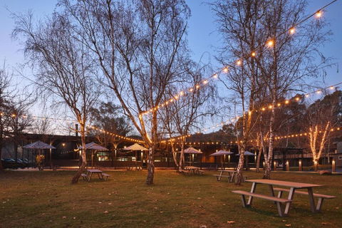 Alpine Inn - Accommodation Perth 4