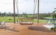 Amaroo - thumb 4