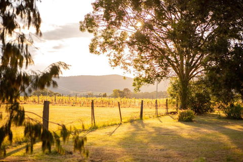 Among The Vines - Accommodation Perth 2