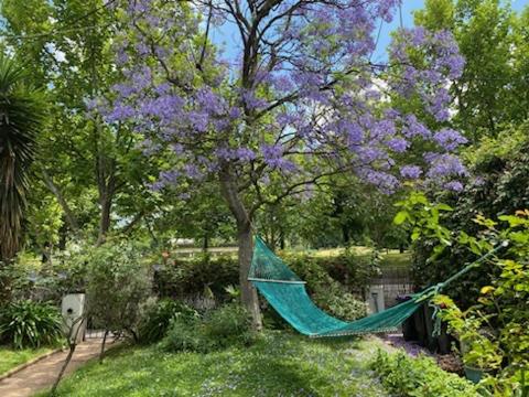 Art House On The Park - Accommodation Perth 4