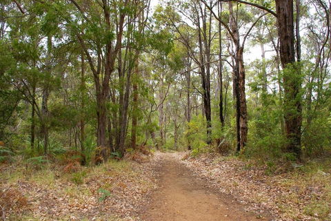 Ashleigh - In Town - Margaret River - Accommodation Perth 4