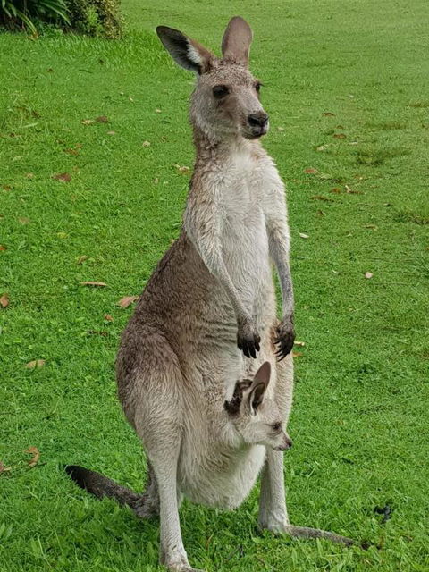 At Melaleuca 3 - Accommodation Perth 3