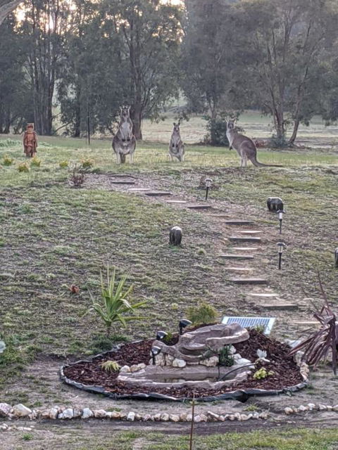 Australian Wildlife At Your Door - Accommodation Perth 0