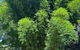 Avana Byron Glamping - thumb 1
