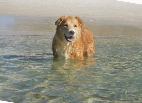 Away Nelson Bay, 29 Wollomi Ave - Spacious Family Home With Water Views, Pet Friendly, Wifi & Aircon - Accommodation Perth 2