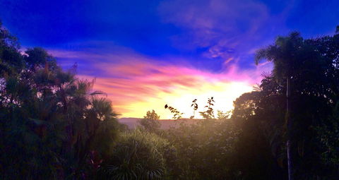 Daintree Manor B&B - Perth Resorts 3