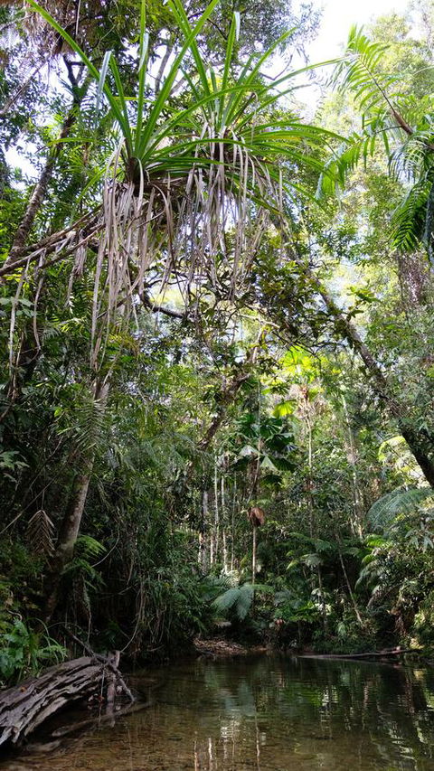 Daintree Manor B&B - Perth Resorts 7