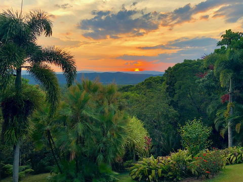 Daintree Manor B&B - Perth Resorts 13