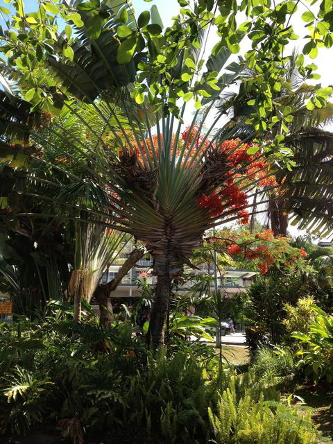 Port Douglas Apartments - Adults Only Oasis - Accommodation Perth 39