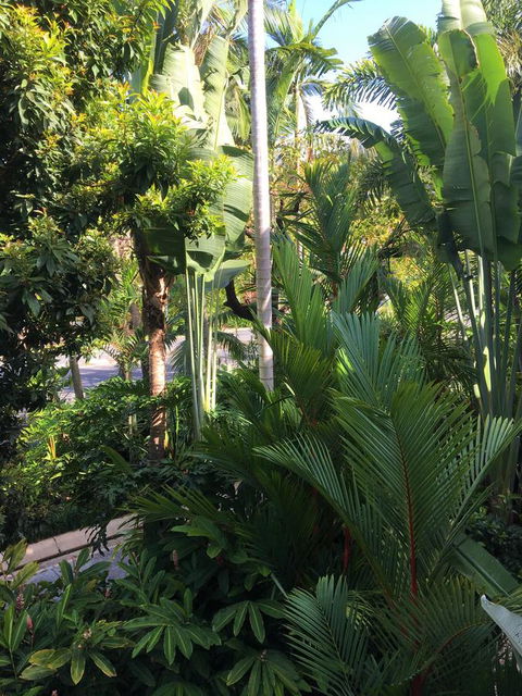 Port Douglas Apartments - Adults Only Oasis - Accommodation Perth 1