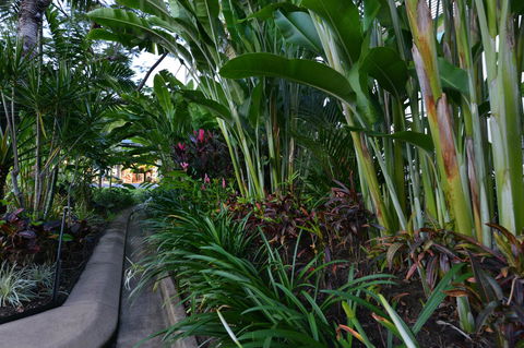 Port Douglas Apartments - Adults Only Oasis - Accommodation Perth 9