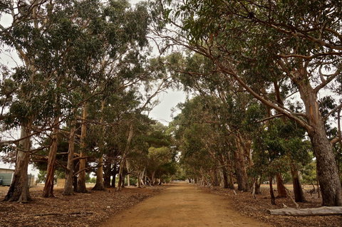 Hanson Bay Cabins - Accommodation Perth 21