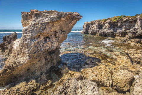 Hanson Bay Cabins - Accommodation Perth 2