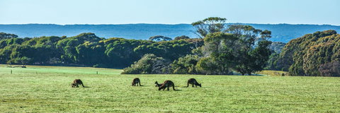 Hanson Bay Cabins - Accommodation Perth 23