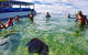Magnetic Island Guest House - thumb 20