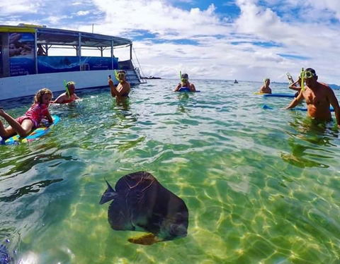 Magnetic Island Guest House - Accommodation Perth 20